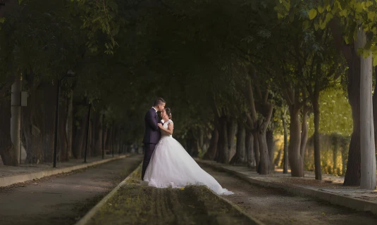 Bride and groom embracing on a tree-lined path, showcasing cinematic wedding film editing by wedding film editor.